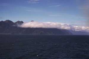 FIORDLAND-NATIONAL-PARK-2019 (195)